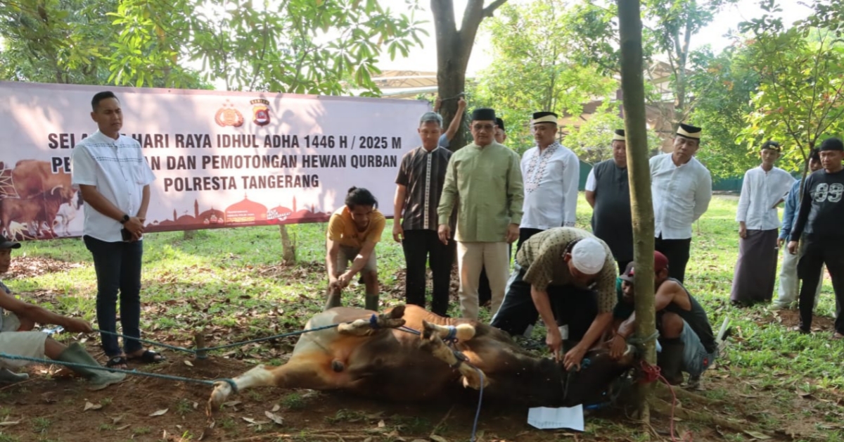 Polresta Tangerang Laksanakan Kurban Iduladha 1446 H, Pererat Iman dan Kepedulian Sosial