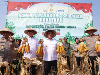 Gubernur Banten Andra Soni Dorong Ketahanan Pangan Lewat Program KAKIJATOL, Target 750 Hektar Jagung