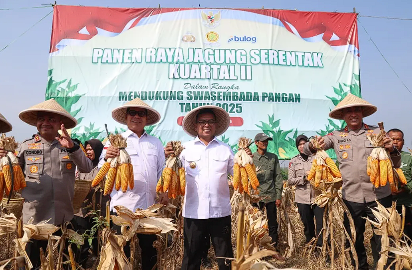 Gubernur Banten Andra Soni Dorong Ketahanan Pangan Lewat Program KAKIJATOL, Target 750 Hektar Jagung