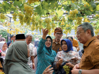 Ketua TP PKK Banten Tinawati Andra Soni Dukung Panen Anggur Ponjay Bendav di Tangsel