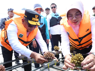 Gubernur Banten Andra Soni Dampingi Istri Ikuti Kegiatan Konservasi Alam Bawah Laut di Pantai Desa Sukarame, Pandeglang
