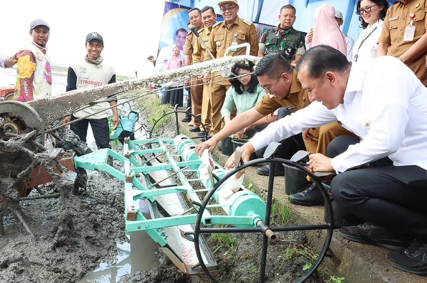 Banten Masuk 8 Besar Produksi Beras Nasional, Ketahanan Pangan Sangat Tangguh