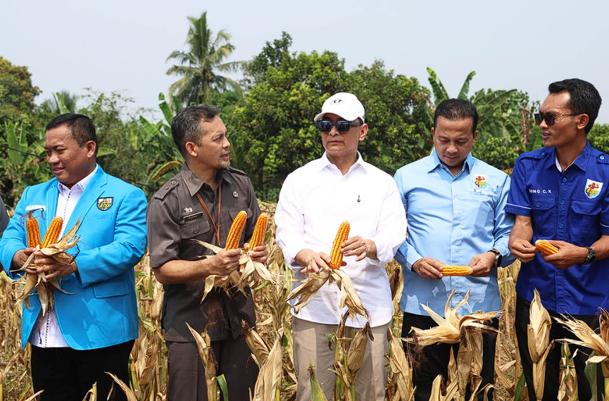 Wagub Banten Dimyati Apresiasi KNPI Lebak yang Pelopori Program Ketahanan Pangan Lewat Panen Jagung
