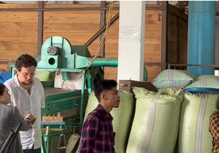 Kopi Semende Dilirik Buyer Rusia, Peluang Ekspor Terbuka