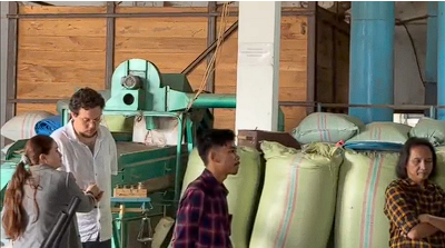 Kopi Semende Dilirik Buyer Rusia, Peluang Ekspor Terbuka