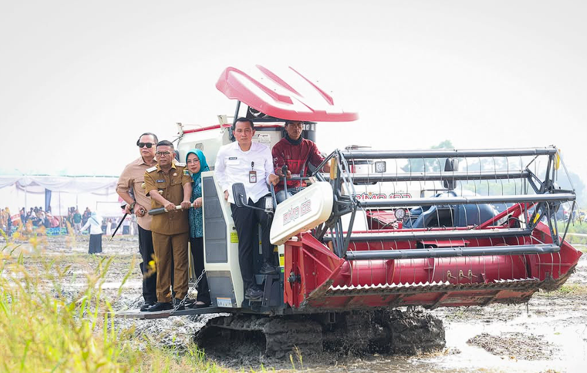 Produktivitas Padi 12,88 Ton, Andra Dorong Perluasan PM-AAS