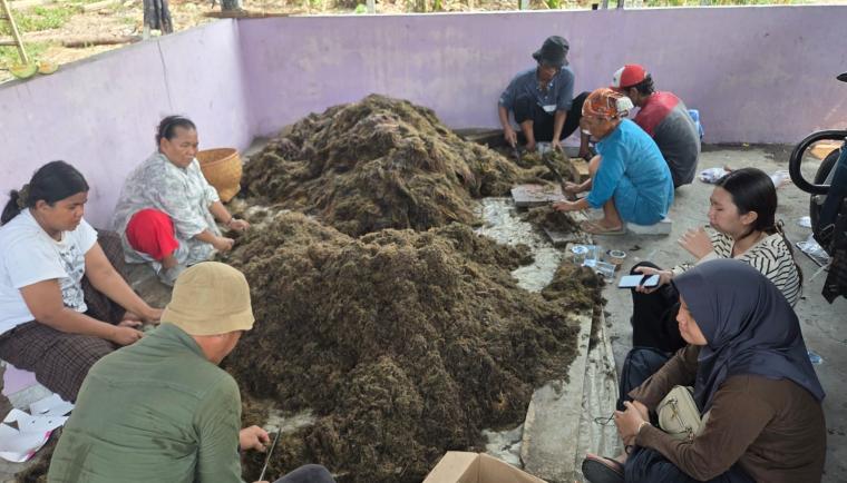 Tingkatkan Produktivitas Padi Sawah, Pemkab Tangerang Gandeng BRIN Kembangkan Inovasi Pupuk Organik